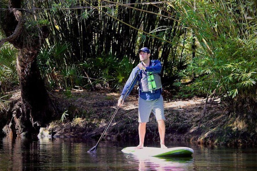 SUP Paddleboard Rentals and Tours