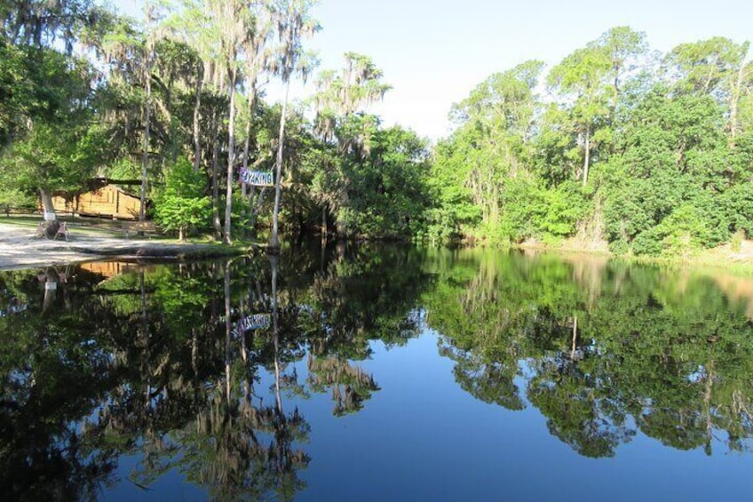 2-Hour Guided Cypress Forest Nature Kayak Tour