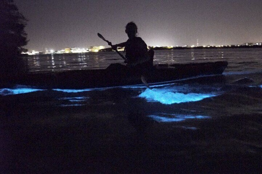 Bioluminescence Kayak Tour