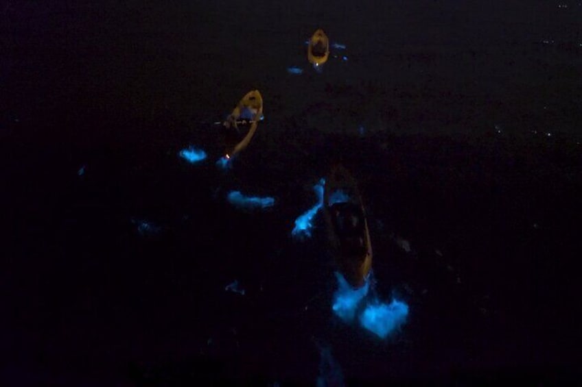 Bioluminescence Kayak Tour