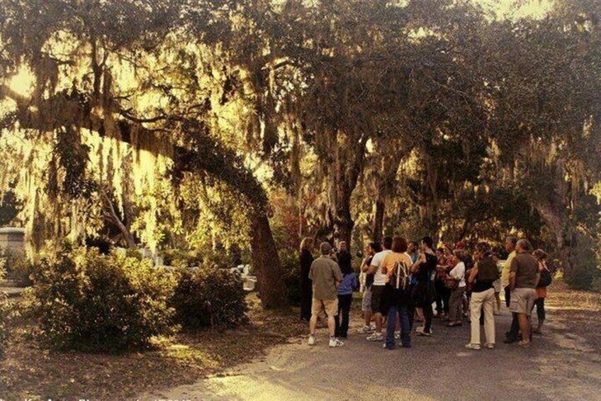 Savannah's Bonaventure Cemetery After Hours Group Tour