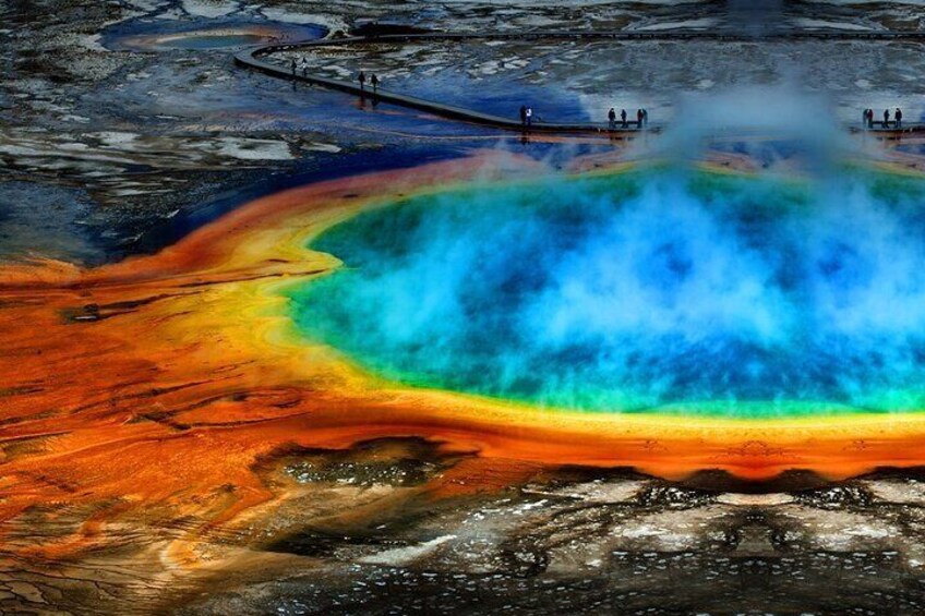 Yellowstone National Park Tour from Jackson Hole