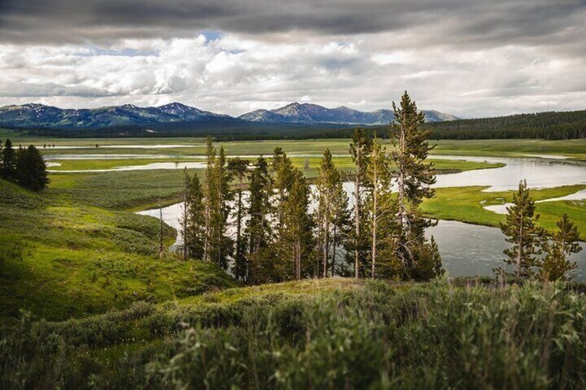 Yellowstone National Park Tour from Jackson Hole