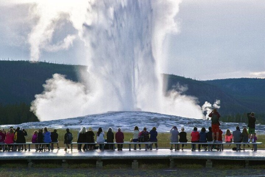 Yellowstone National Park Tour from Jackson Hole