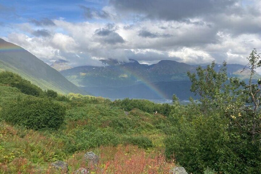 Seward Wilderness Hiking
