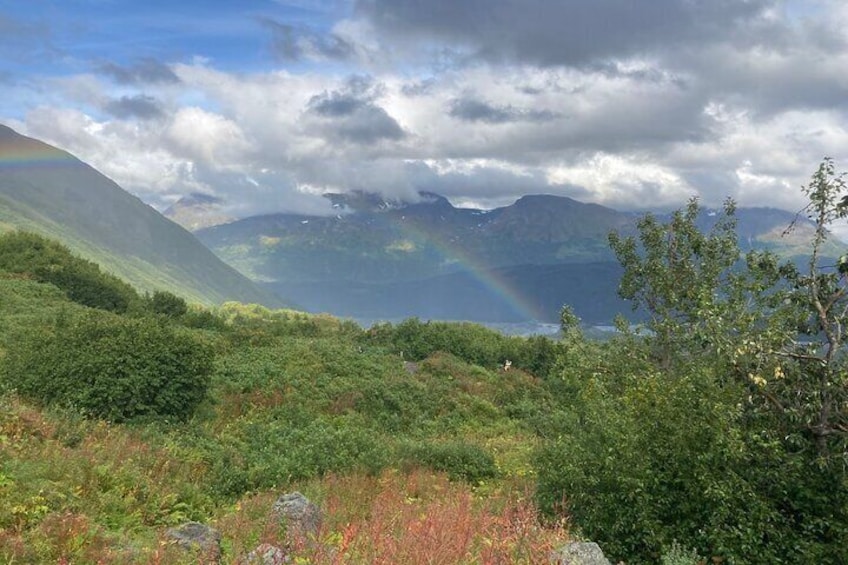 Seward Wilderness Hiking
