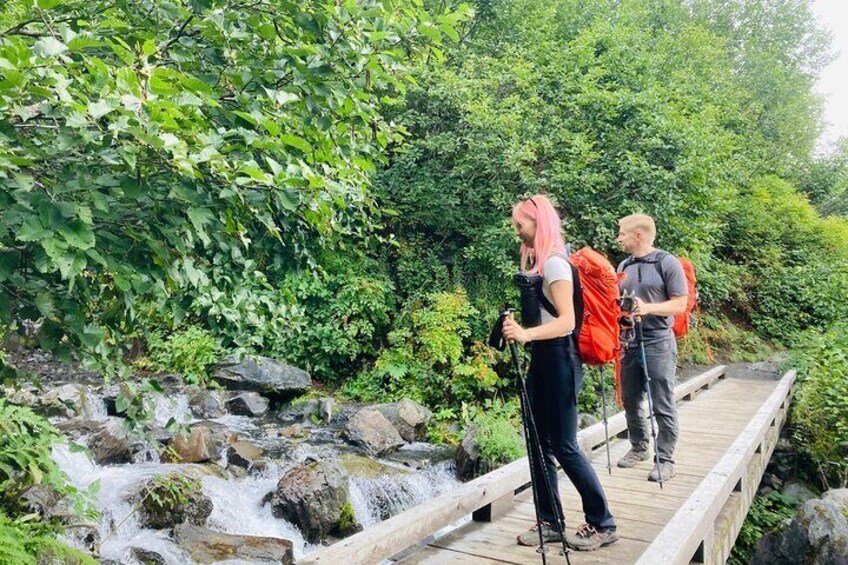 Seward Wilderness Hiking