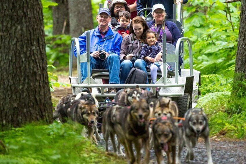 Kennel Tour and Dog Sled Ride