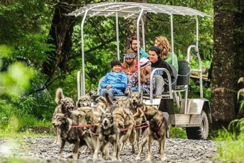 Dog Sled