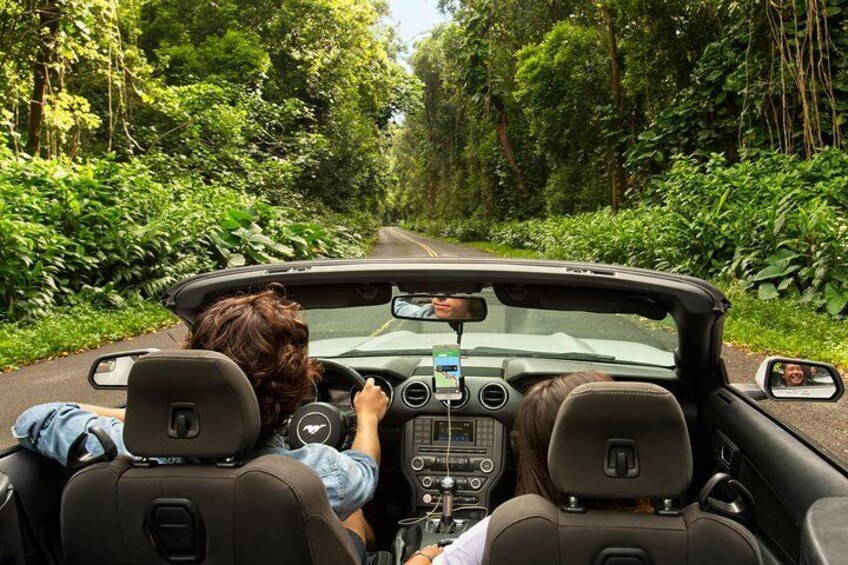 Audio plays automatically as you drive. We guide you to all the best spots!