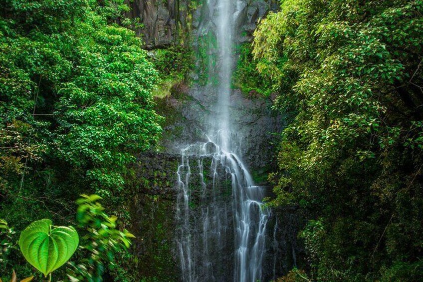 Go chasing waterfalls!