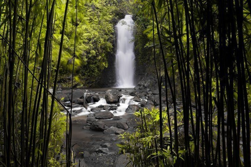 Hike through a bamboo forest to a lovely watefall