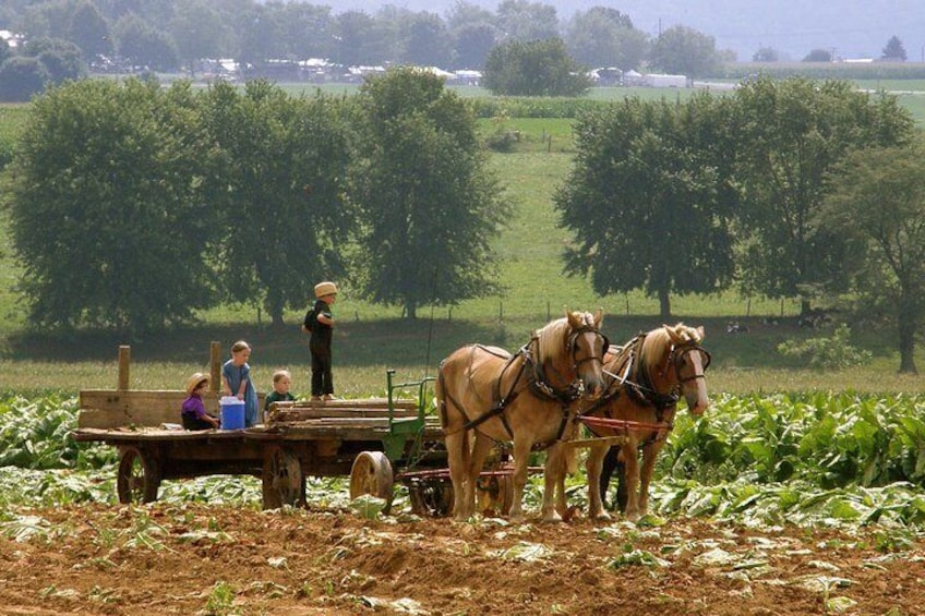 Amish Experience SuperSaver Package