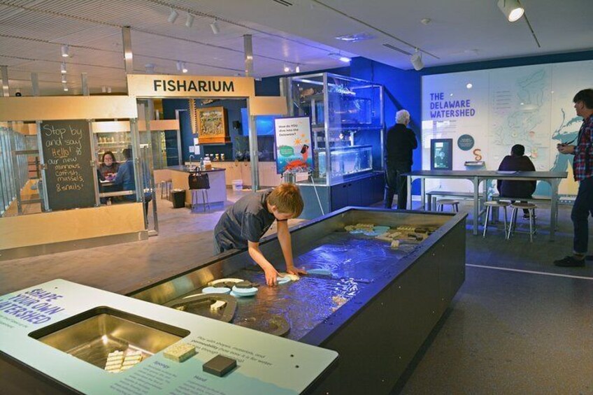 Learn about the Delaware River Watershed in our award-winning exhibit River Alive!