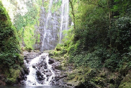 Full-Day Rainforest and Waterfall Adventure from San Juan