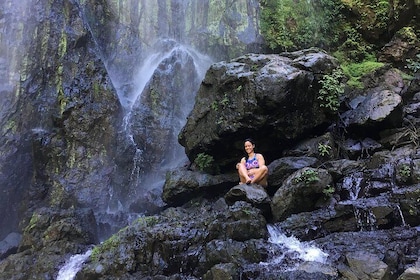 Puerto Rico Waterfall Hiking Tour: Discover Hidden Gems