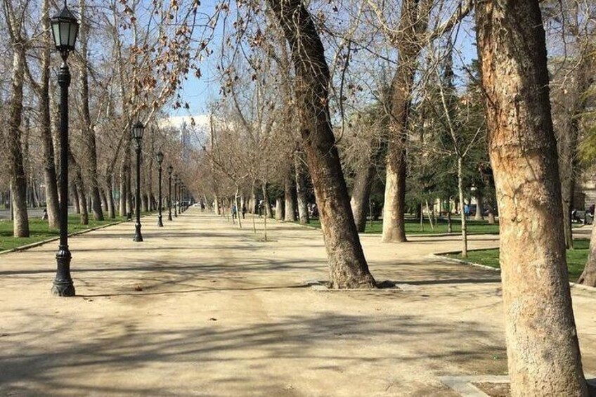 Parque Forestal