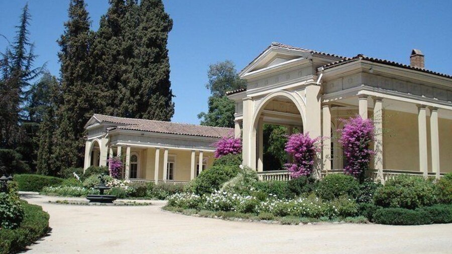 Concha y Toro Vineyard