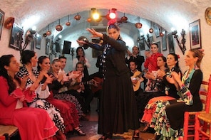 Sacromonte Flamenco Show and Albaicin Walking Tour from Granada