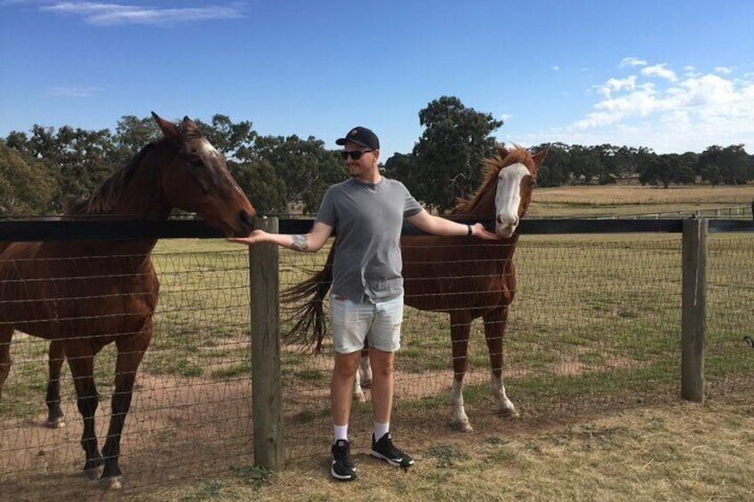 Living Legends with Rogan Josh and Apache Cat