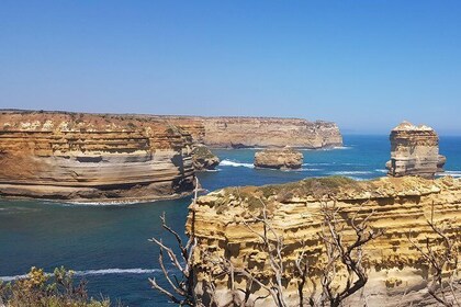 Luxury Private Great Ocean Road Tour up to 8 people - Entire Vehicle