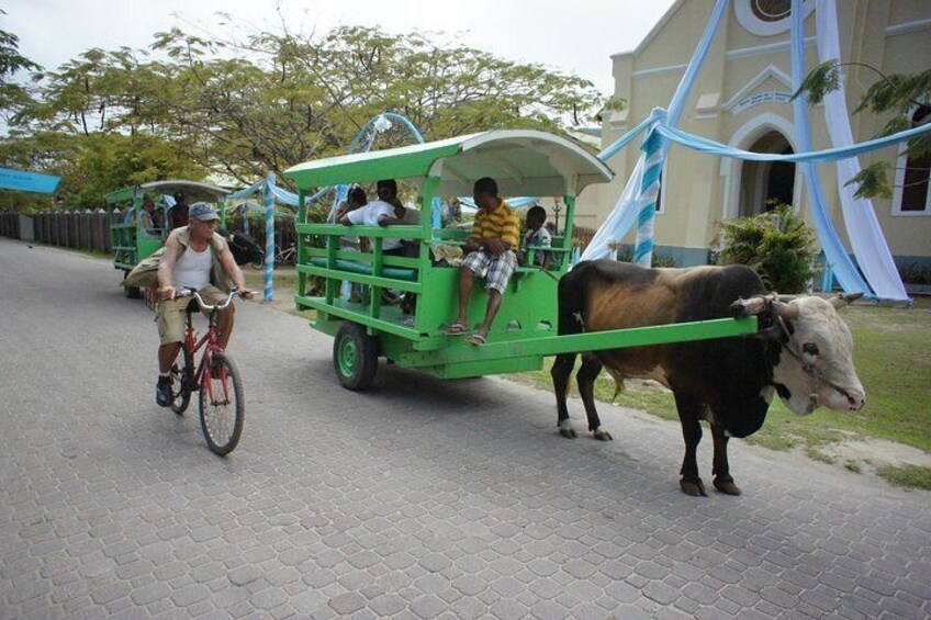 Ox Cart Taxi La Digue