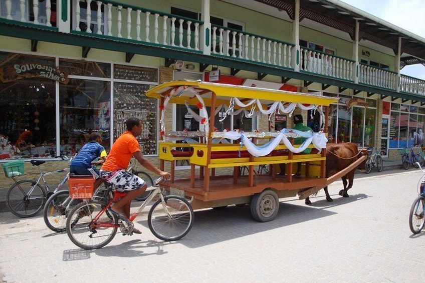 La Digue - Ox Cart n Bicycle