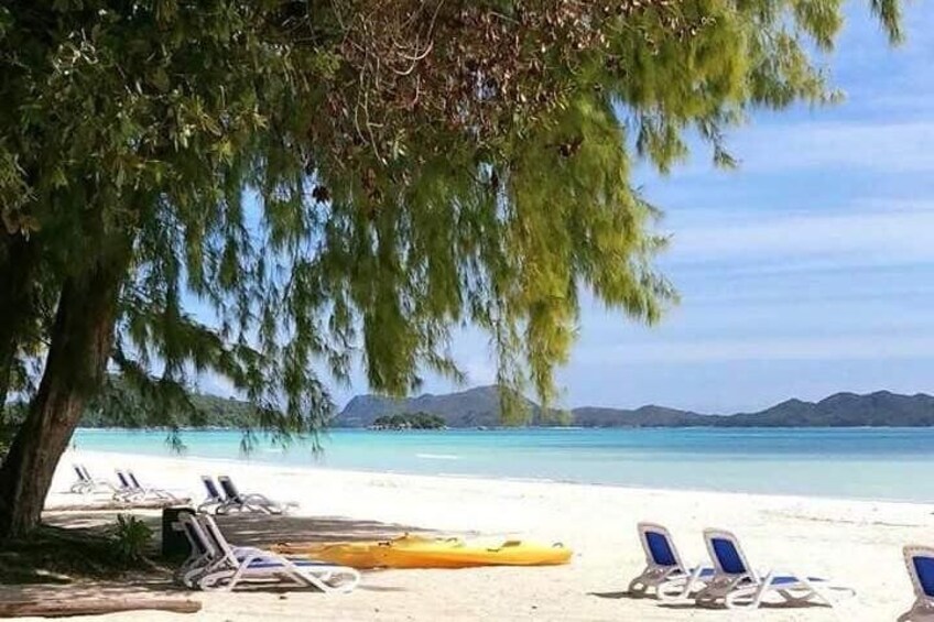 One day on the beach of Anse Volbert