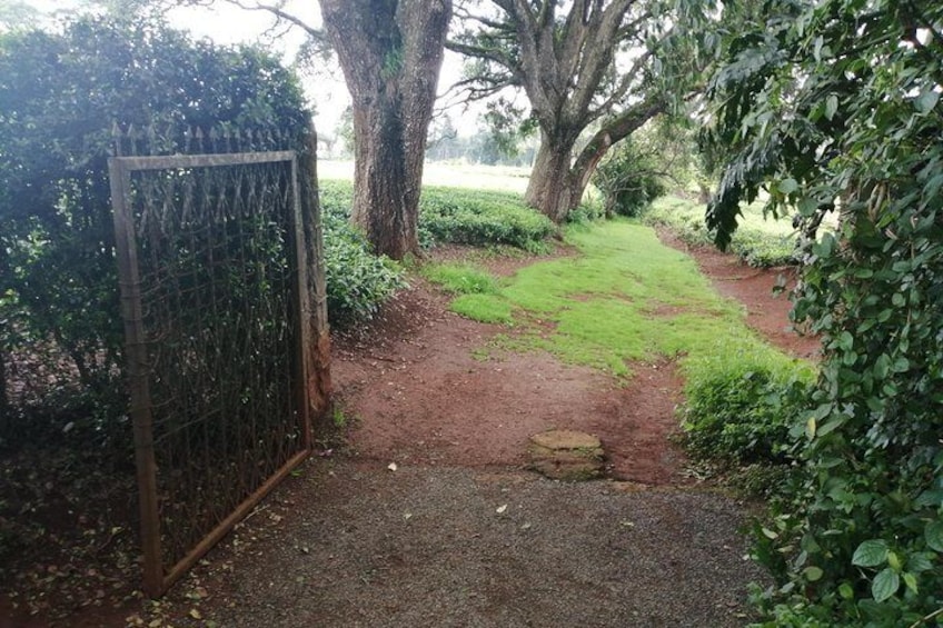 Entrance for the Tea field