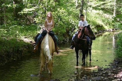 Horse Riding in Marmaris National Park