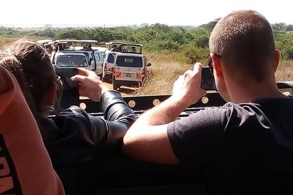 2 days safari Tsavo National parks tour