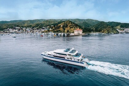 Catalina Express: ferry de ida de San Pedro a Avalon