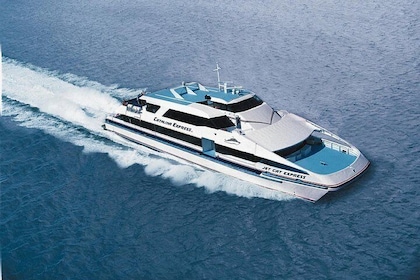 Catalina Express Round-Trip Ferry Service: Long Beach or San Pedro to Avalo...