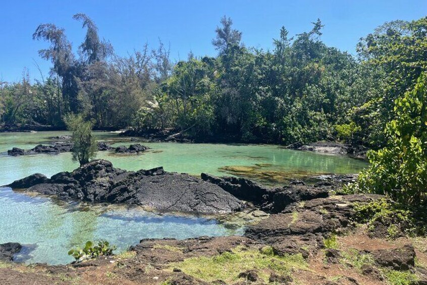 Beach Snorkel - Sea Turtle and Black Sand Lagoon