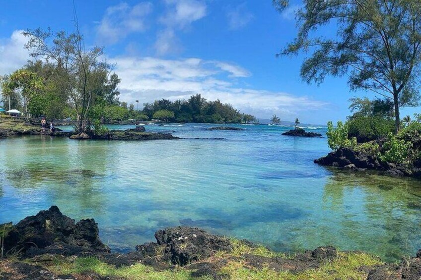 Beach Snorkel - Sea Turtle and Black Sand Lagoon