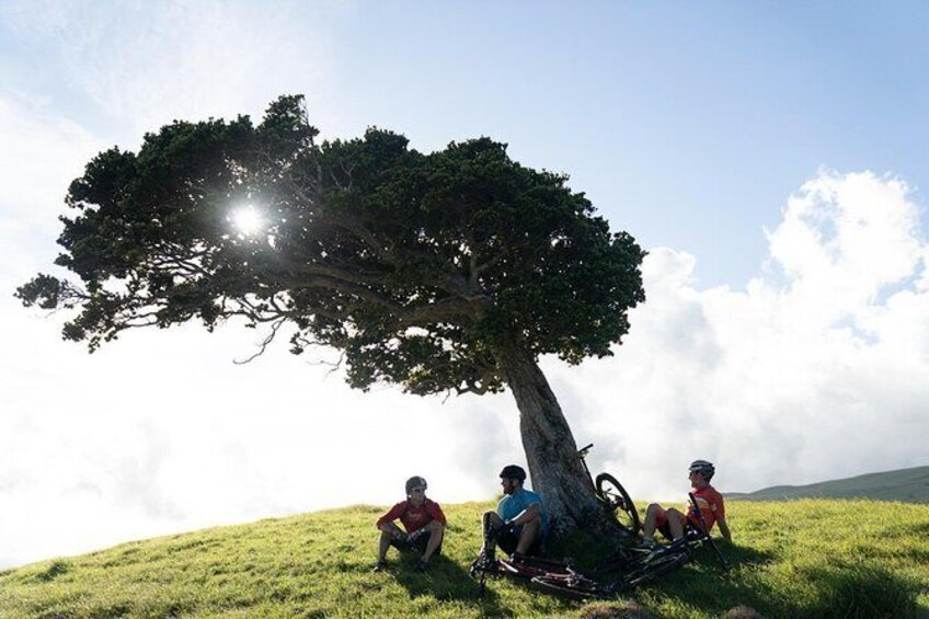 Show item 4 of 6. Big Island Mountain Biking on Anna Ranch