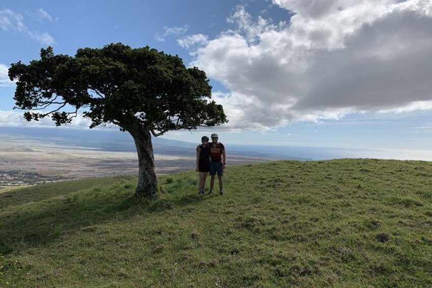 Show item 3 of 6. Big Island Mountain Biking on Anna Ranch