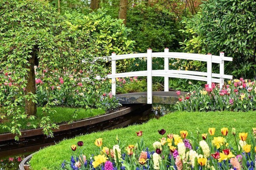 Private Keukenhof Gardens and Tulip Tour from Amsterdam Incl. Skip the Line