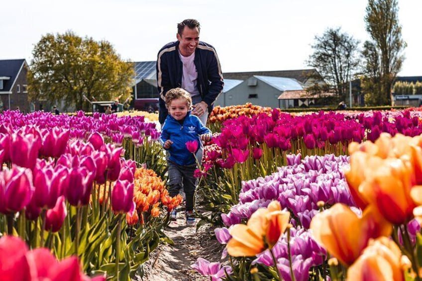 Private Keukenhof Gardens and Tulip fields Tour from Amsterdam