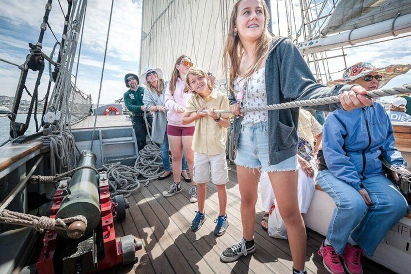 Bring the family along for a tall ship adventure sail and work with the Maritime Museum sail crew to trim or sit back and relax and enjoy the Bay, the view and wildlife.