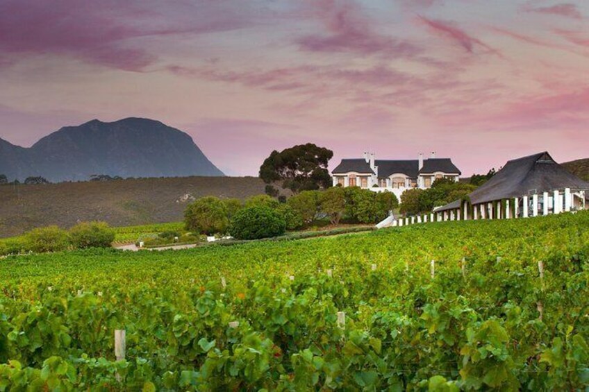 Show item 2 of 2. Explore the magical Hemel-en-Aarde