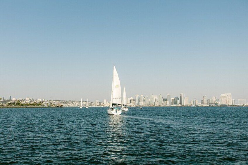 Experience San Diego Bay