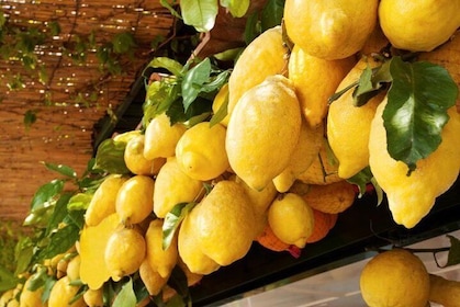 Familiegårdsopplevelse med olivenoljegrønnsaker limoncello og bestemors lun...