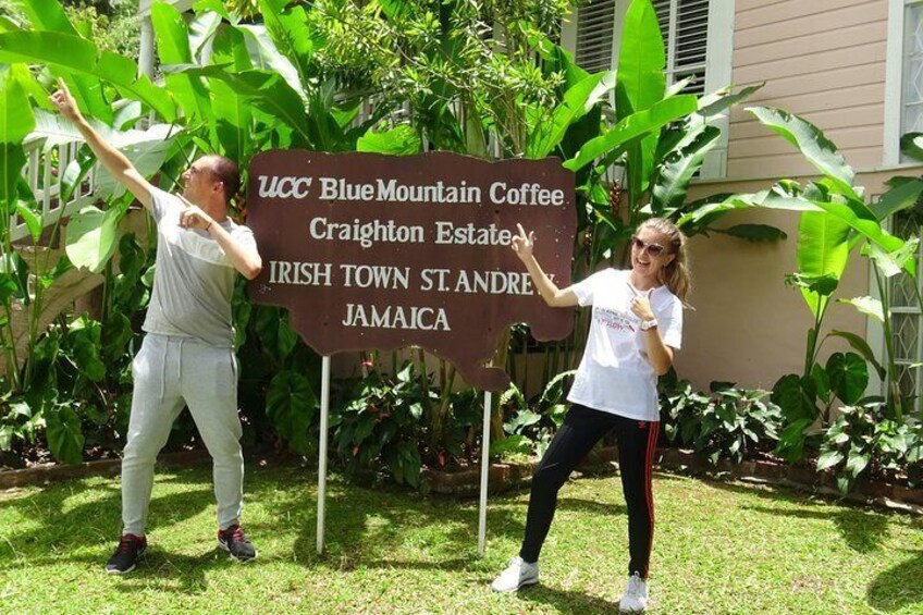 Blue Mountain Coffee and Sightseeing Tour