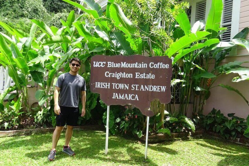 Blue Mountain Coffee and Sightseeing Tour