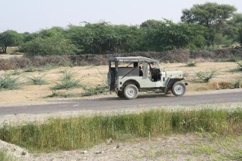 Jeep for tour