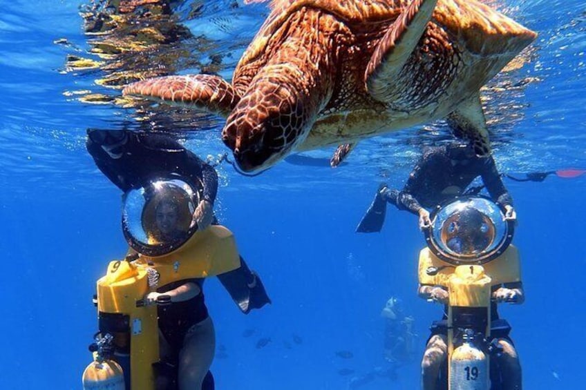 Show item 2 of 6. Oahu Submarine Scooter Adventure