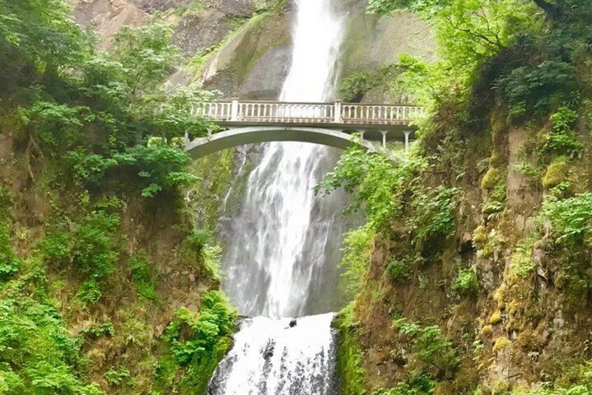 Small Group: Columbia River Gorge Waterfalls Tour from Portland