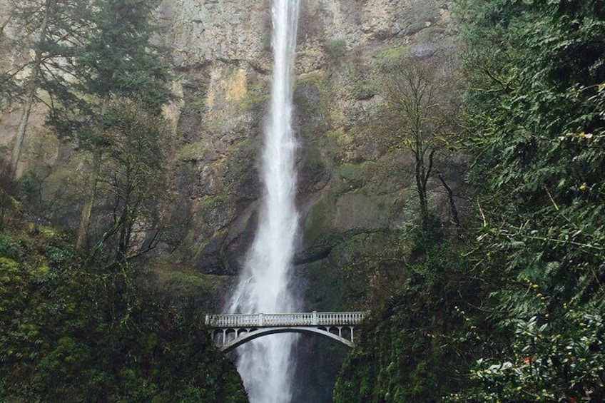 Small Group: Columbia River Gorge Waterfalls Tour from Portland