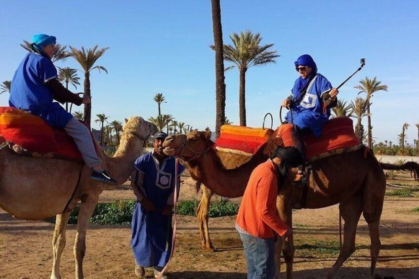 Sunset Camel Ride en el Palm Grove de Marrakech